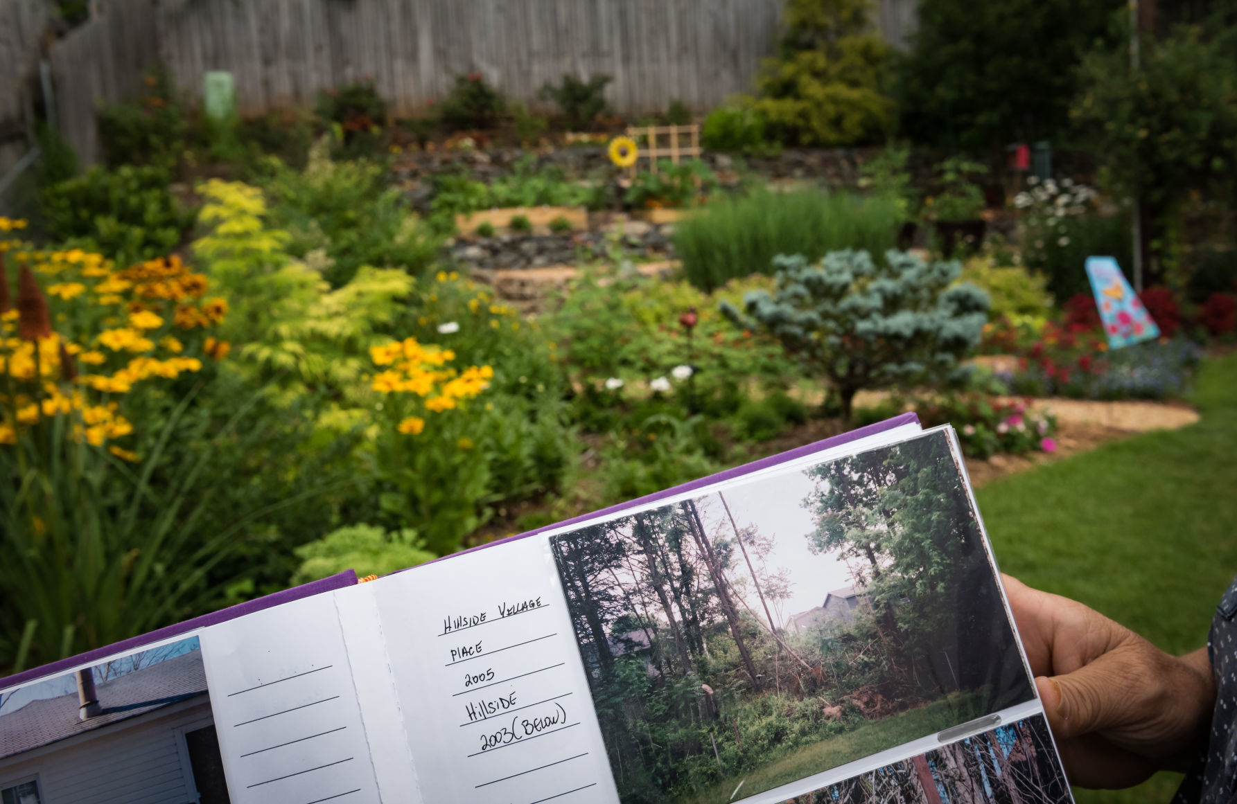 Lisa Swarthout's Garden